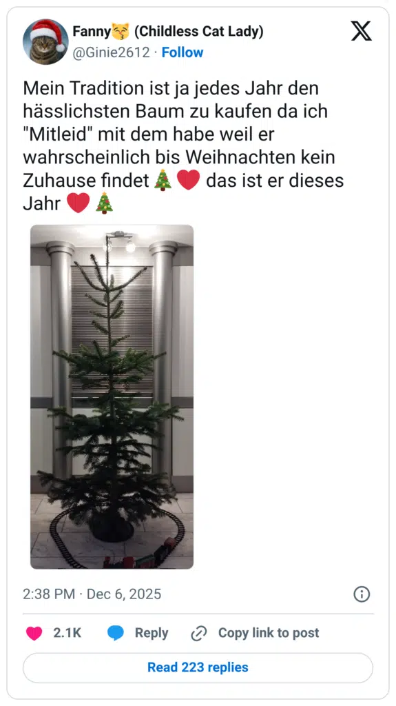 Mein Tradition ist ja jedes Jahr den hässlichsten Baum zu kaufen da ich "Mitleid" mit dem habe weil er wahrscheinlich bis Weihnachten kein Zuhause findet🎄❤️ das ist er dieses Jahr ❤️🎄