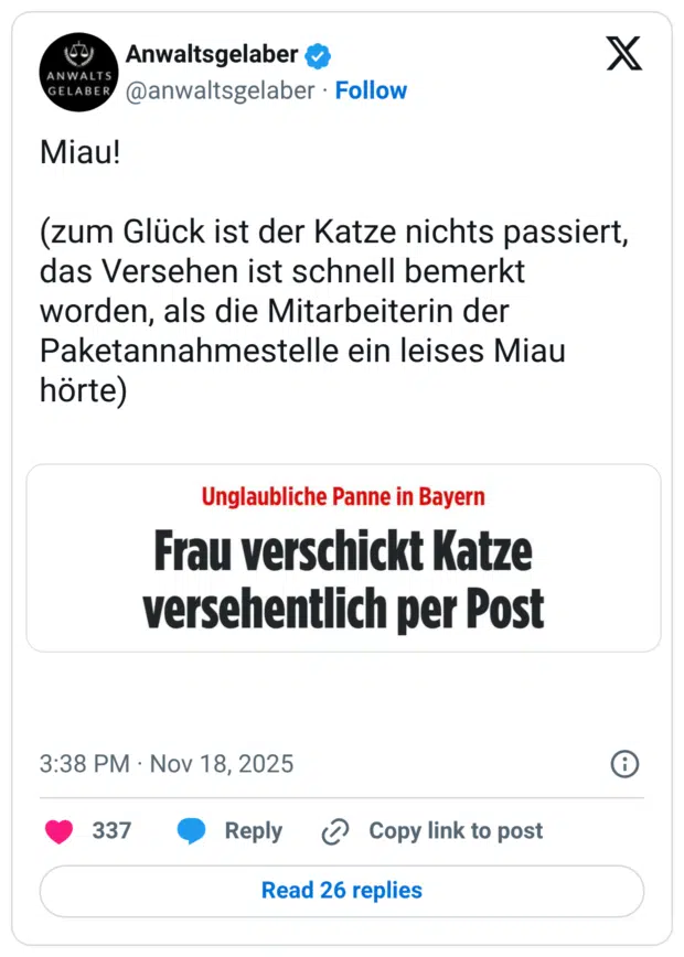 Miau! (zum Glück ist der Katze nichts passiert, das Versehen ist schnell bemerkt worden, als die Mitarbeiterin der Paketannahmestelle ein leises Miau hörte)