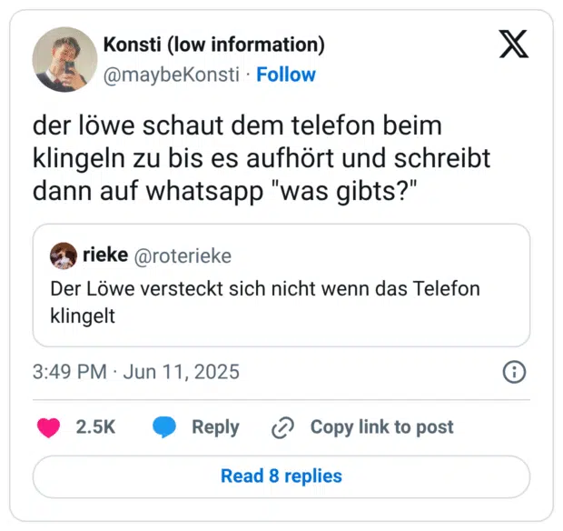 der löwe schaut dem telefon beim klingeln zu bis es aufhört und schreibt dann auf whatsapp "was gibts?"