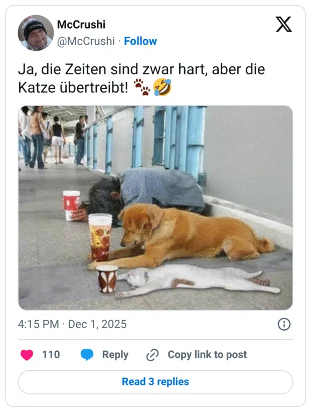Ja, die Zeiten sind zwar hart, aber die Katze übertreibt!