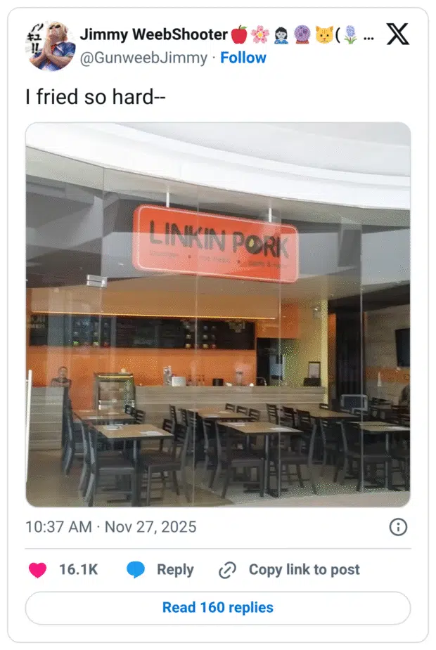 I fried so hard- LINKIN PORT