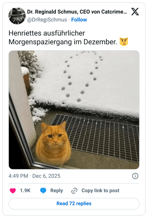 Henriettes ausführlicher Morgenspaziergang im Dezember.