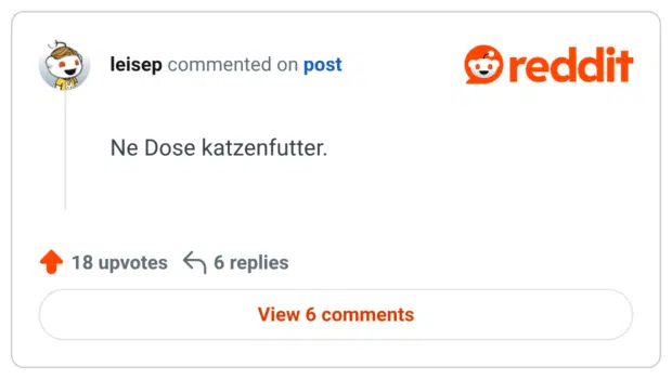 Ne Dose katzenfutter