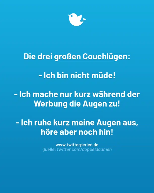 Die drei großen Couchlügen:
– Ich bin nicht müde!
– Ich mache nur kurz während der Werbung die Augen zu!
– Ich ruhe kurz meine Augen aus, höre aber noch hin!