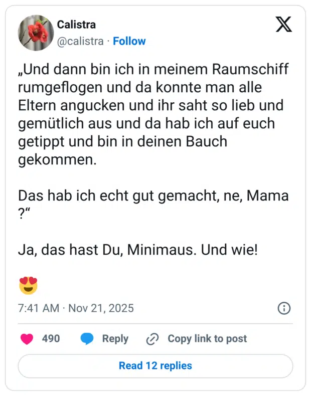 „Und dann bin ich in meinem Raumschiff rumgeflogen und da konnte man alle Eltern angucken und ihr saht so lieb und gemütlich aus und da hab ich auf euch getippt und bin in deinen Bauch gekommen. Das hab ich echt gut gemacht, ne, Mama ?" Ja, das hast Du, Minimaus. Und wie!