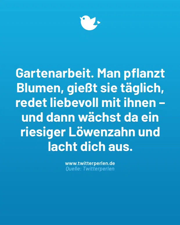 Gartenarbeit. Man pflanzt Blumen, gießt sie täglich, redet liebevoll mit ihnen – und dann wächst da ein riesiger Löwenzahn und lacht dich aus.