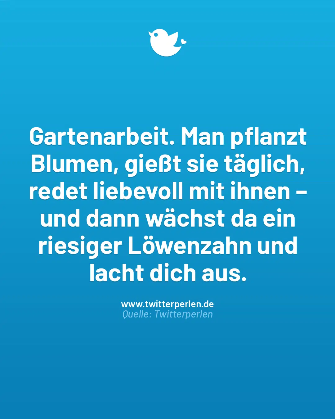 Gartenarbeit. Man pflanzt Blumen, gießt sie täglich, redet liebevoll mit ihnen – und dann wächst da ein riesiger Löwenzahn und lacht dich aus.