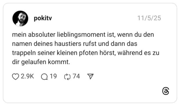 mein absoluter lieblingsmoment ist, wenn du den namen deines haustiers rufst und dann das trappeln seiner kleinen pfoten hörst, während es zu dir gelaufen kommt.