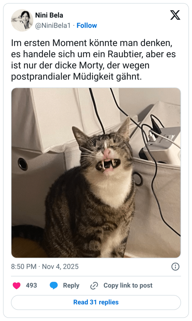 Im ersten Moment könnte man denken, es handele sich um ein Raubtier, aber es ist nur der dicke Morty, der wegen postprandialer Müdigkeit gähnt.