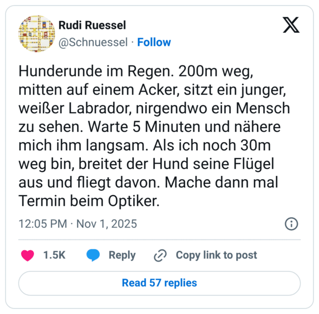 Hunderunde im Regen. 200m weg, mitten auf einem Acker, sitzt ein junger, weißer Labrador, nirgendwo ein Mensch zu sehen. Warte 5 Minuten und nähere mich ihm langsam. Als ich noch 30m weg bin, breitet der Hund seine Flügel aus und fliegt davon. Mache dann mal Termin beim Optiker.
