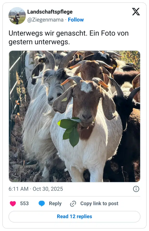 Unterwegs wir genascht. Ein Foto von gestern unterwegs.