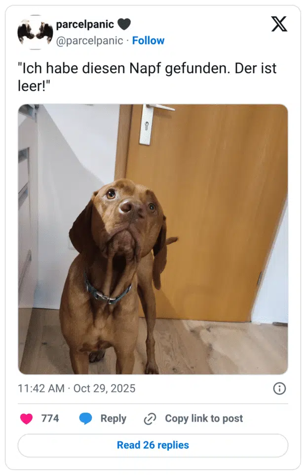 "Ich habe diesen Napf gefunden. Der ist leer!"