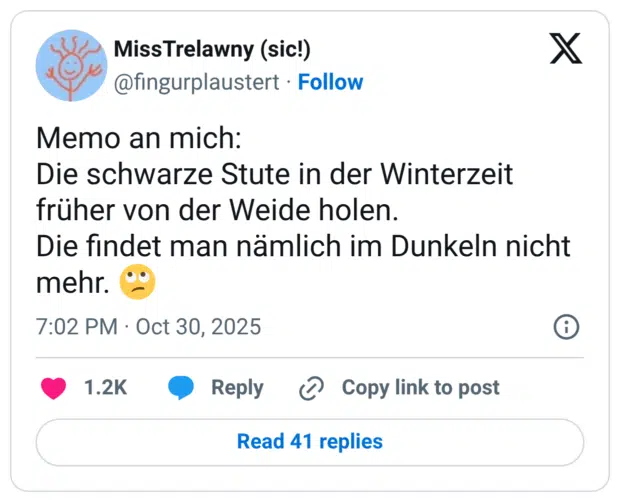 Memo an mich: Die schwarze Stute in der Winterzeit früher von der Weide holen. Die findet man nämlich im Dunkeln nicht mehr. 🙄