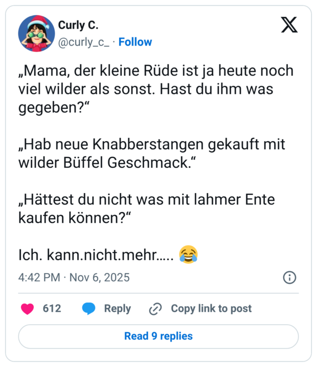 „Mama, der kleine Rüde ist ja heute noch viel wilder als sonst. Hast du ihm was gegeben?“ „Hab neue Knabberstangen gekauft mit wilder Büffel Geschmack.“ „Hättest du nicht was mit lahmer Ente kaufen können?“ Ich. kann.nicht.mehr….. 😂