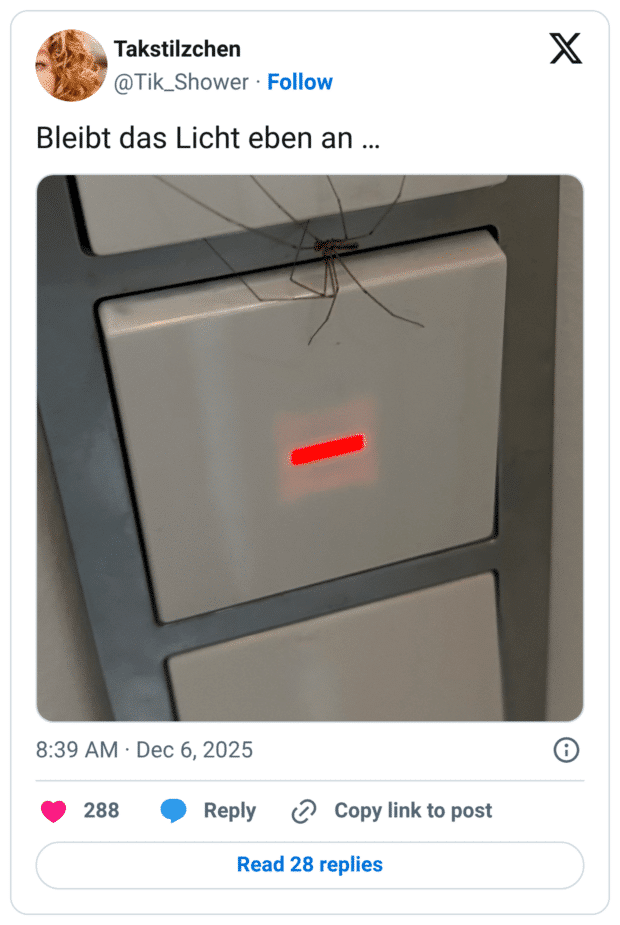 leibt das Licht eben an ...