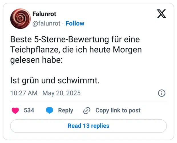 Beste 5-Sterne-Bewertung für eine Teichpflanze, die ich heute Morgen gelesen habe: Ist grün und schwimmt.