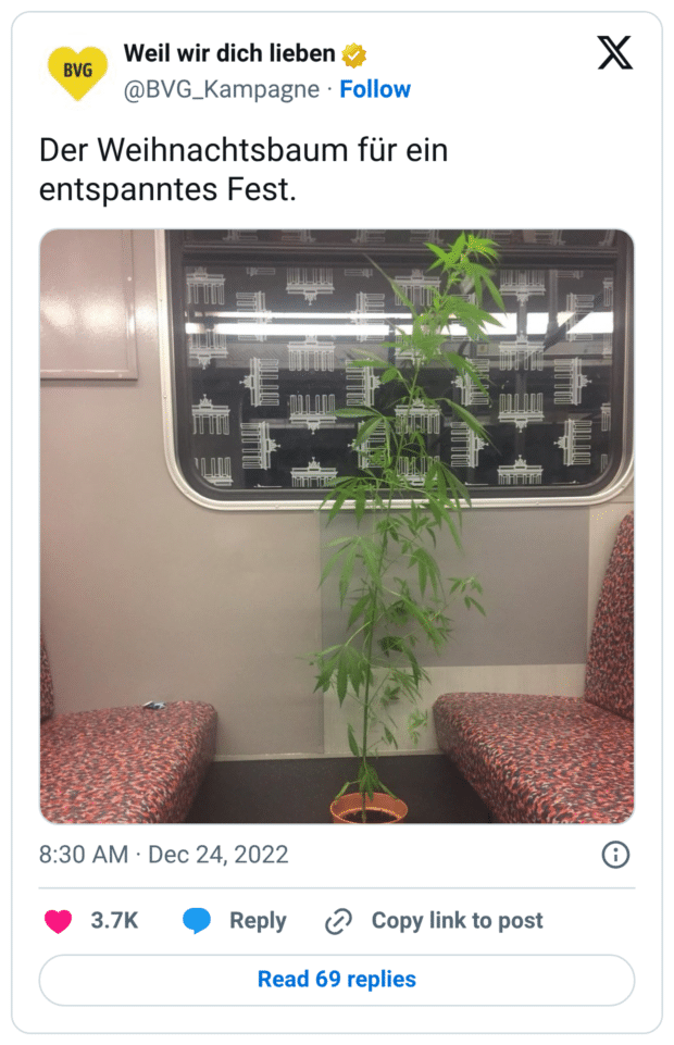 Der Weihnachtsbaum für ein entspanntes Fest.