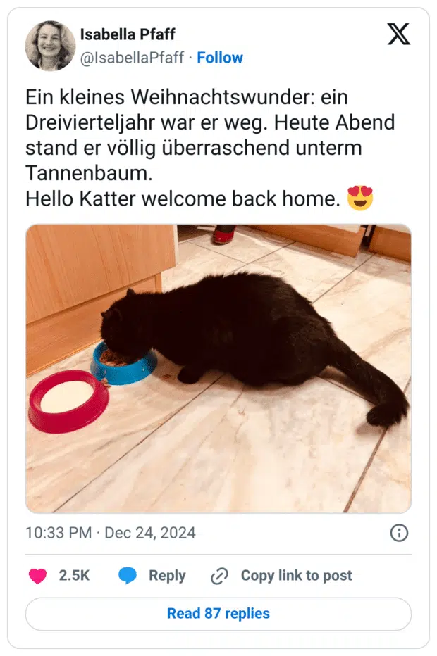 Ein kleines Weihnachtswunder: ein Dreivierteljahr war er weg. Heute Abend stand er völlig überraschend unterm Tannenbaum. Hello Katter welcome back home. 😍