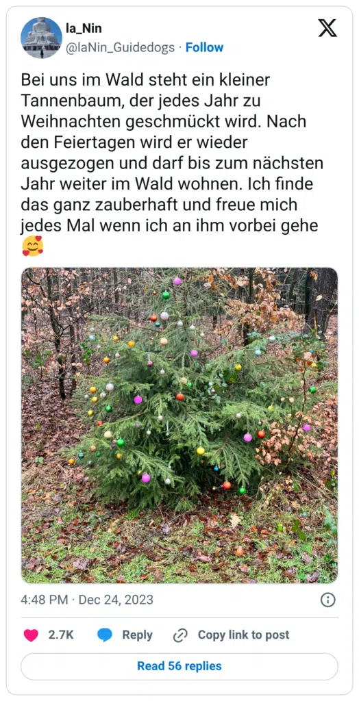 Bei uns im Wald steht ein kleiner Tannenbaum, der jedes Jahr zu Weihnachten geschmückt wird. Nach den Feiertagen wird er wieder ausgezogen und darf bis zum nächsten Jahr weiter im Wald wohnen. Ich finde das ganz zauberhaft und freue mich jedes Mal wenn ich an ihm vorbei gehe 🥰