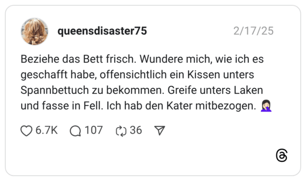 Beziehe das Bett frisch. Wundere mich, wie ich es geschafft habe, offensichtlich ein Kissen unters Spannbettuch zu bekommen. Greife unters Laken und fasse in Fell. Ich hab den Kater mitbezogen. 🤦🏻‍♀️