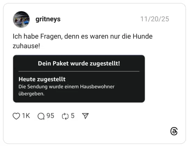 Ich habe Fragen, denn es waren nur die Hunde zuhause!