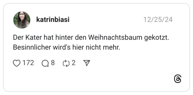 Der Kater hat hinter den Weihnachtsbaum gekotzt. Besinnlicher wird's hier nicht mehr.