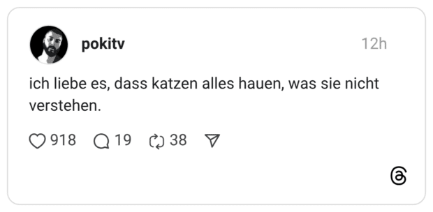 ich liebe es, dass katzen alles hauen, was sie nicht verstehen.