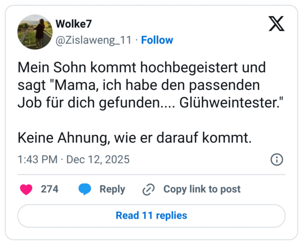Mein Sohn kommt hochbegeistert und sagt "Mama, ich habe den passenden Job für dich gefunden.... Glühweintester." Keine Ahnung, wie er darauf kommt.