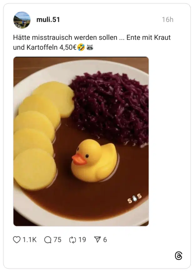 Hätte misstrauisch werden sollen ... Ente mit Kraut und Kartoffeln
