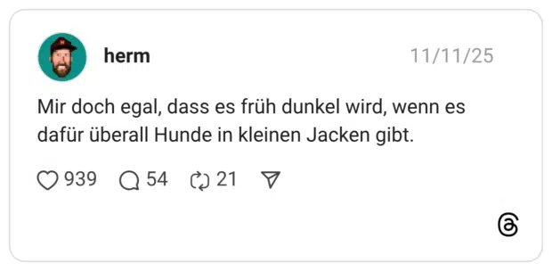 Mir doch egal, dass es früh dunkel wird, wenn es dafür überall Hunde in kleinen Jacken gibt.