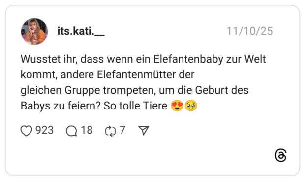 Wusstet ihr, dass wenn ein Elefantenbaby zur Welt kommt, andere Elefantenmütter der gleichen Gruppe trompeten, um die Geburt des Babys zu feiern? So tolle Tiere 😍🥹