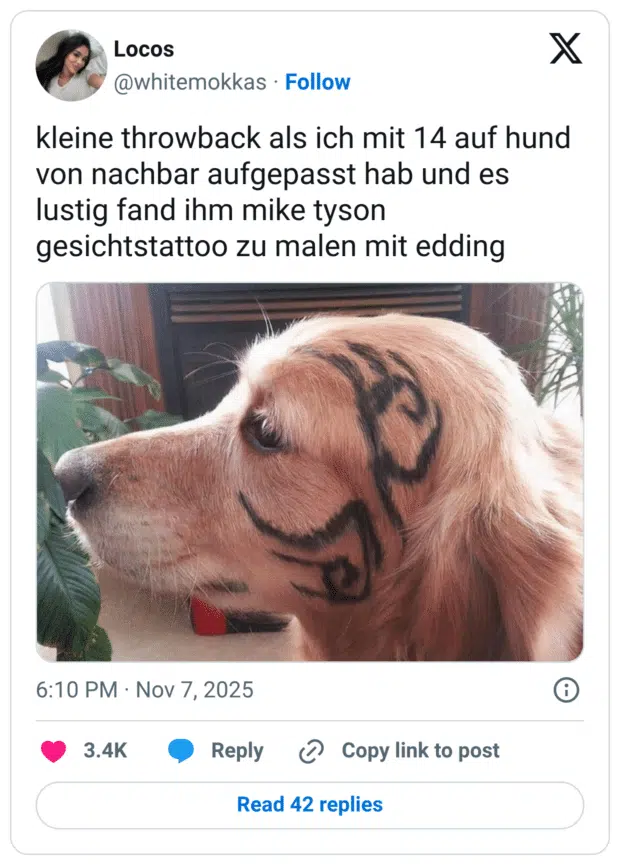 kleine throwback als ich mit 14 auf hund von nachbar aufgepasst hab und es lustig fand ihm mike tyson gesichtstattoo zu malen mit edding