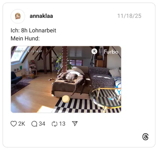 Ich: 8h Lohnarbeit Mein Hund: