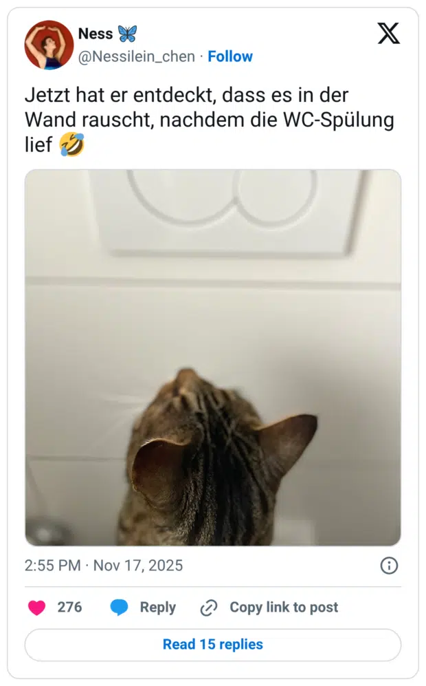 Jetzt hat er entdeckt, dass es in der Wand rauscht, nachdem die WC-Spülung lief 🤣