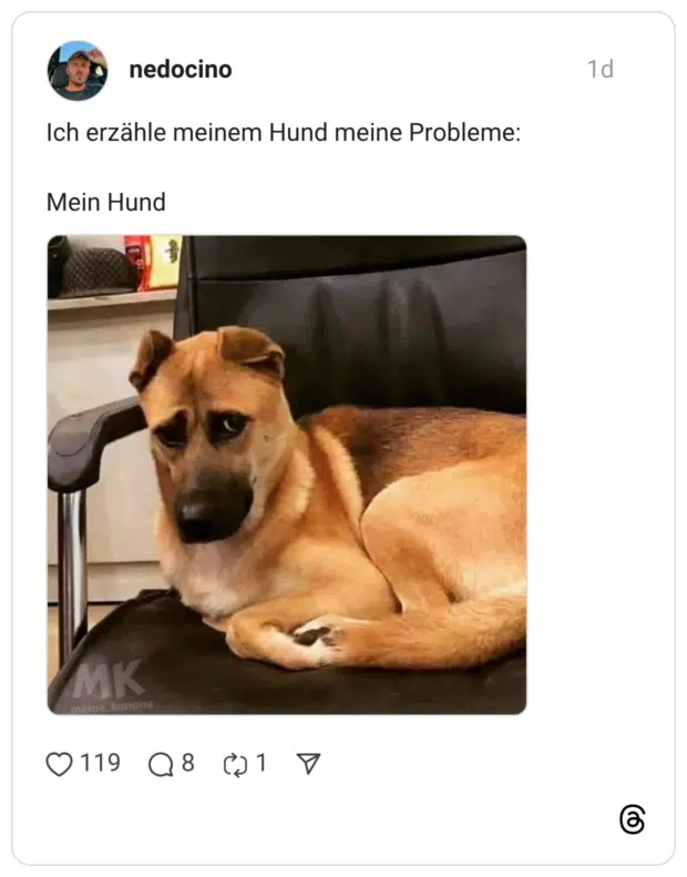 Ich erzähle meinem Hund meine Probleme: Mein Hund