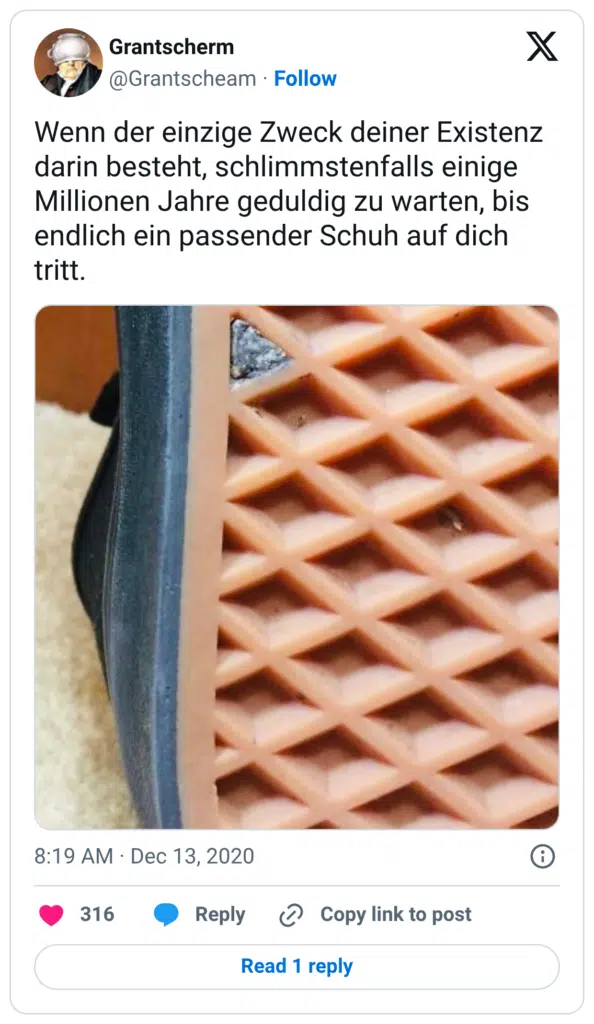 Wenn der einzige Zweck deiner Existenz darin besteht, schlimmstenfalls einige Millionen Jahre geduldig zu warten, bis endlich ein passender Schuh auf dich tritt.