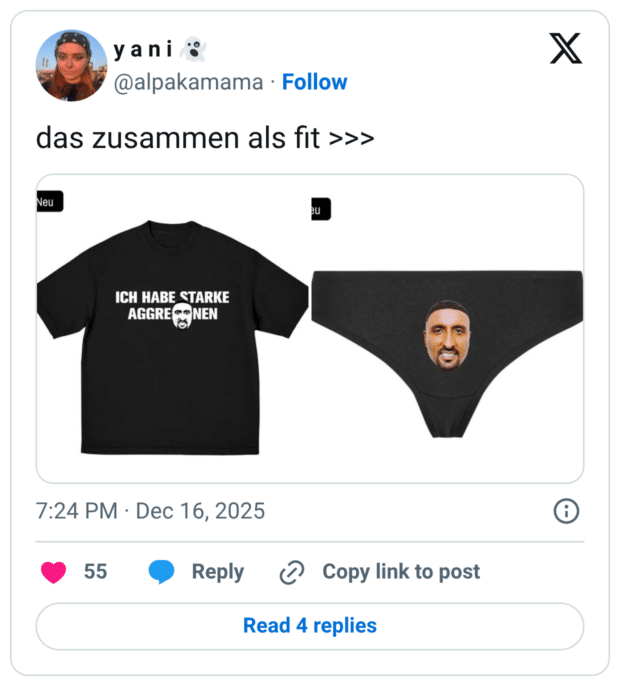 ICH HABE STARKE AGGRE * NEN 7:24 PM • Dec 16, 2025 55 • Reply @ Copy link to post X das zusammen als fit