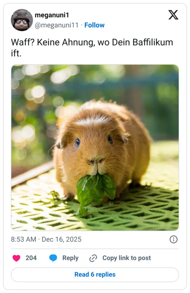 Waff? Keine Ahnung, wo Dein Baffilikum ift.