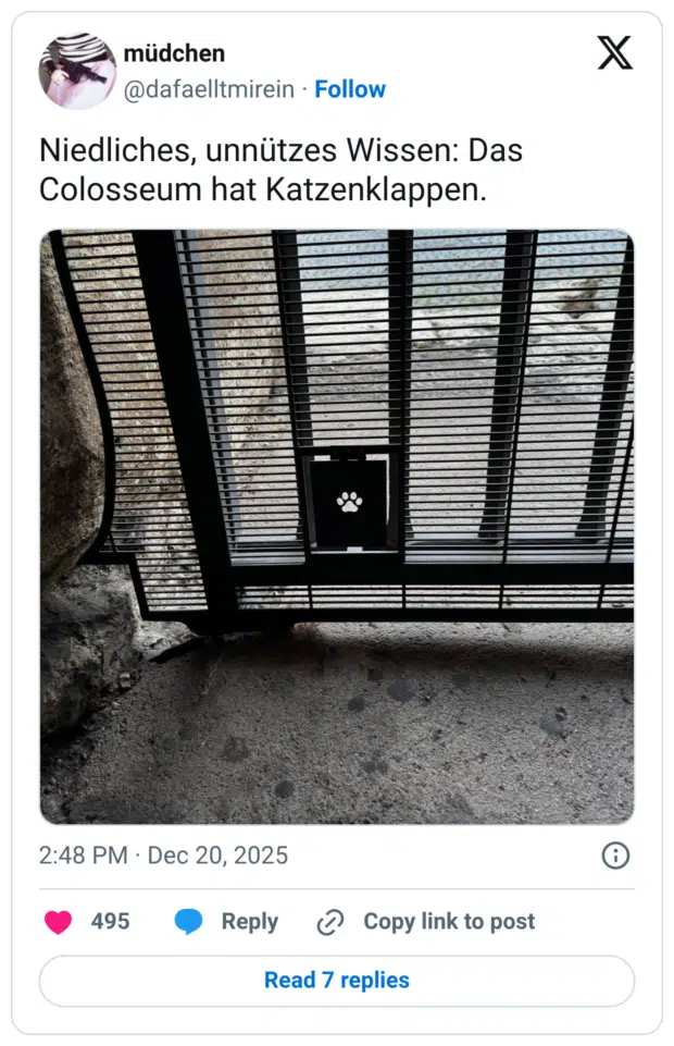 Niedliches, unnützes Wissen: Das Colosseum hat Katzenklappen.