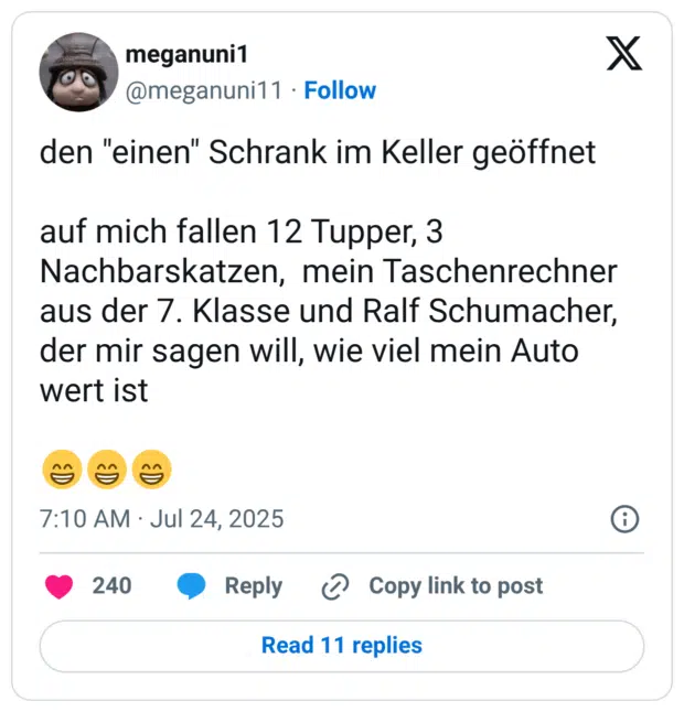 den "einen" Schrank im Keller geöffnet auf mich fallen 12 Tupper, 3 Nachbarskatzen, mein Taschenrechner aus der 7. Klasse und Ralf Schumacher, der mir sagen will, wie viel mein Auto wert ist