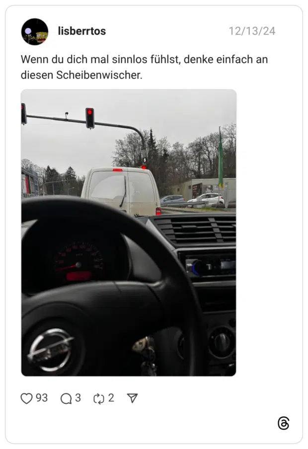 Wenn du dich mal sinnlos fühlst, denke einfach an diesen Scheibenwischer.