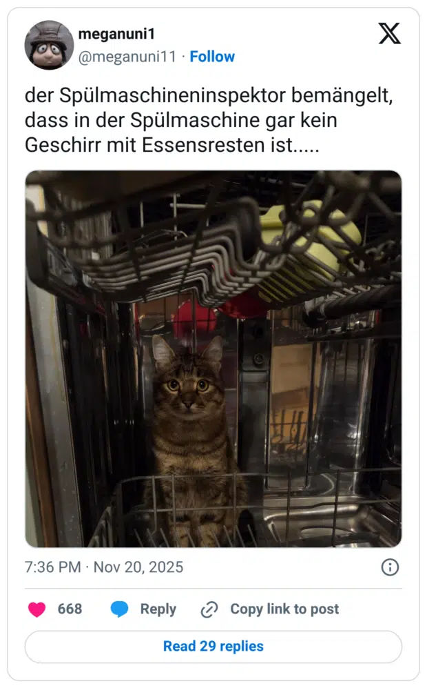 der Spülmaschineninspektor bemängelt, dass in der Spülmaschine gar kein Geschirr mit Essensresten ist.....