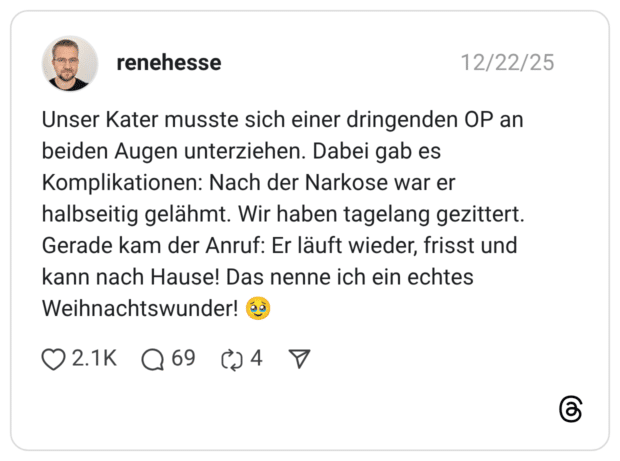 Unser Kater musste sich einer dringenden OP an beiden Augen unterziehen. Dabei gab es Komplikationen: Nach der Narkose war er halbseitig gelähmt. Wir haben tagelang gezittert. Gerade kam der Anruf: Er läuft wieder, frisst und kann nach Hause! Das nenne ich ein echtes Weihnachtswunder!
