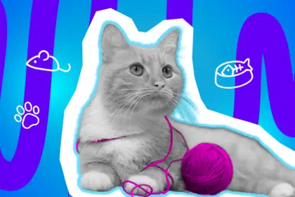 Moderne Grafik einer majestätisch dreinblickenden Katze, die mit einem pinken Wollfaden spielt. Die Illustration passt perfekt zu den humorvollen Beobachtungen über Haustiere. Ideal für Blogbeiträge über Katzenverhalten, Haustier-Macken und lustige Alltagsgeschichten.