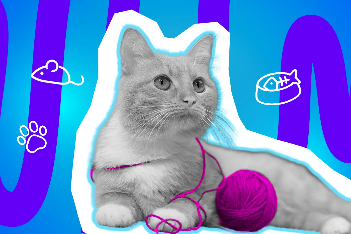 Moderne Grafik einer majestätisch dreinblickenden Katze, die mit einem pinken Wollfaden spielt. Die Illustration passt perfekt zu den humorvollen Beobachtungen über Haustiere. Ideal für Blogbeiträge über Katzenverhalten, Haustier-Macken und lustige Alltagsgeschichten.