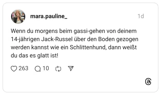 Wenn du morgens beim gassi-gehen von deinem 14-jährigen Jack-Russel über den Boden gezogen werden kannst wie ein Schlittenhund, dann weißt du das es glatt ist!