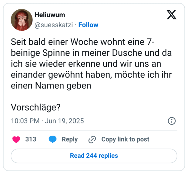 Seit bald einer Woche wohnt eine 7-beinige Spinne in meiner Dusche und da ich sie wieder erkenne und wir uns an einander gewöhnt haben, möchte ich ihr einen Namen geben Vorschläge?