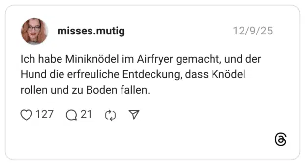 Ich habe Miniknödel im Airfryer gemacht, und der Hund die erfreuliche Entdeckung, dass Knödel rollen und zu Boden fallen.