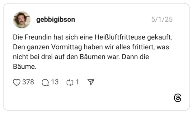 Die Freundin hat sich eine Heißluftfritteuse gekauft. Den ganzen Vormittag haben wir alles frittiert, was nicht bei drei auf den Bäumen war. Dann die Bäume.