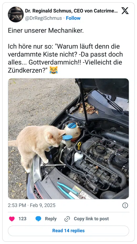 Einer unserer Mechaniker. Ich höre nur so: "Warum läuft denn die verdammte Kiste nicht? -Da passt doch alles... Gottverdammich!! -Vielleicht die Zündkerzen?" 😹